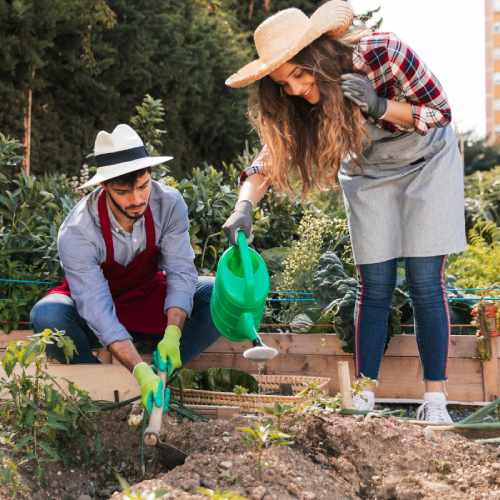 watering-plants